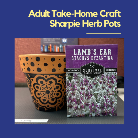 Adult Take-Home Craft: Sharpie Herb Pots