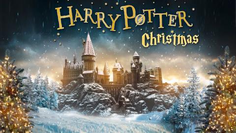 Harry Potter Christmas