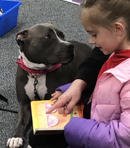 Chloe enjoying a book