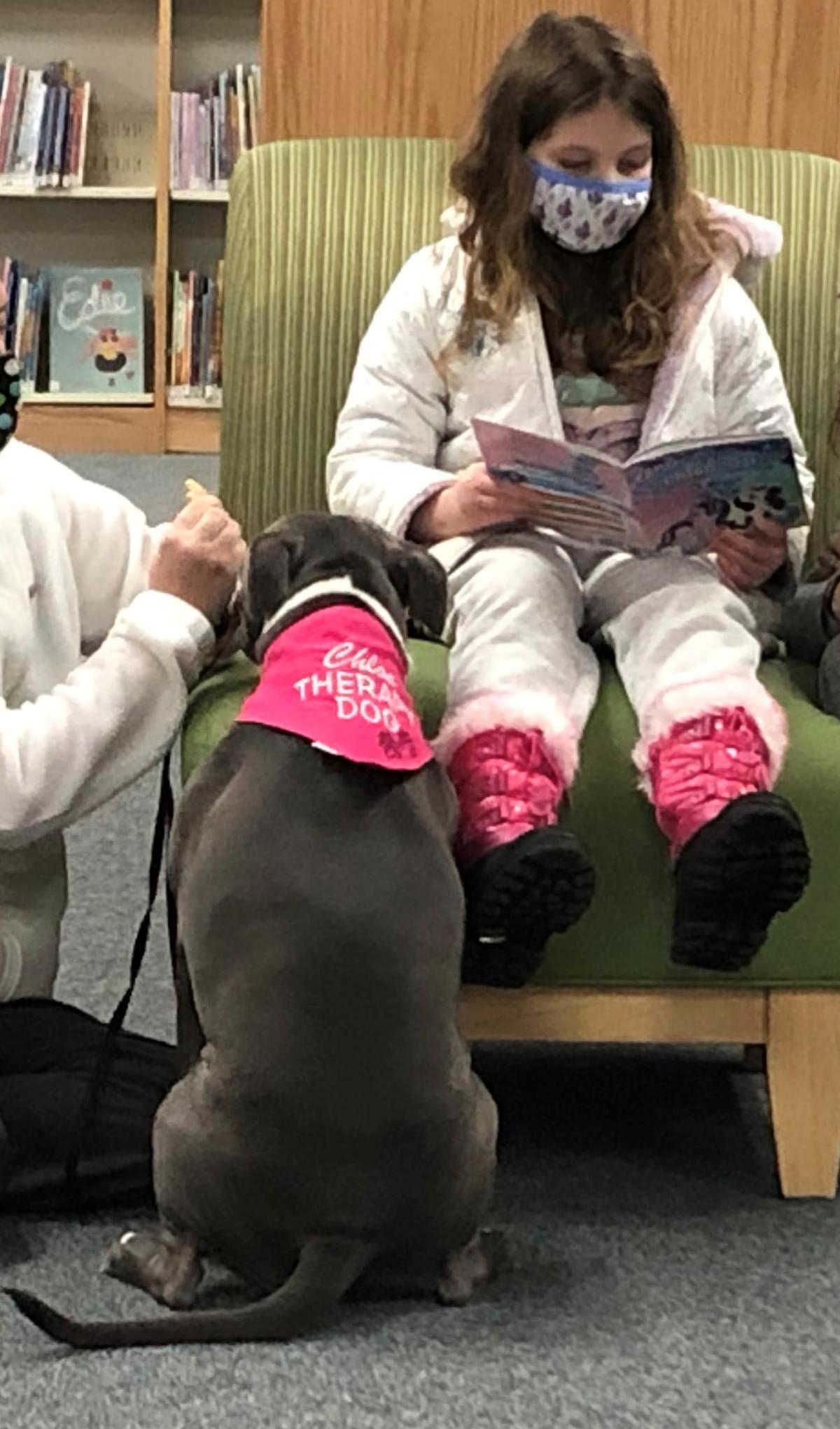 Therapy Dog, Chloe, and Patron