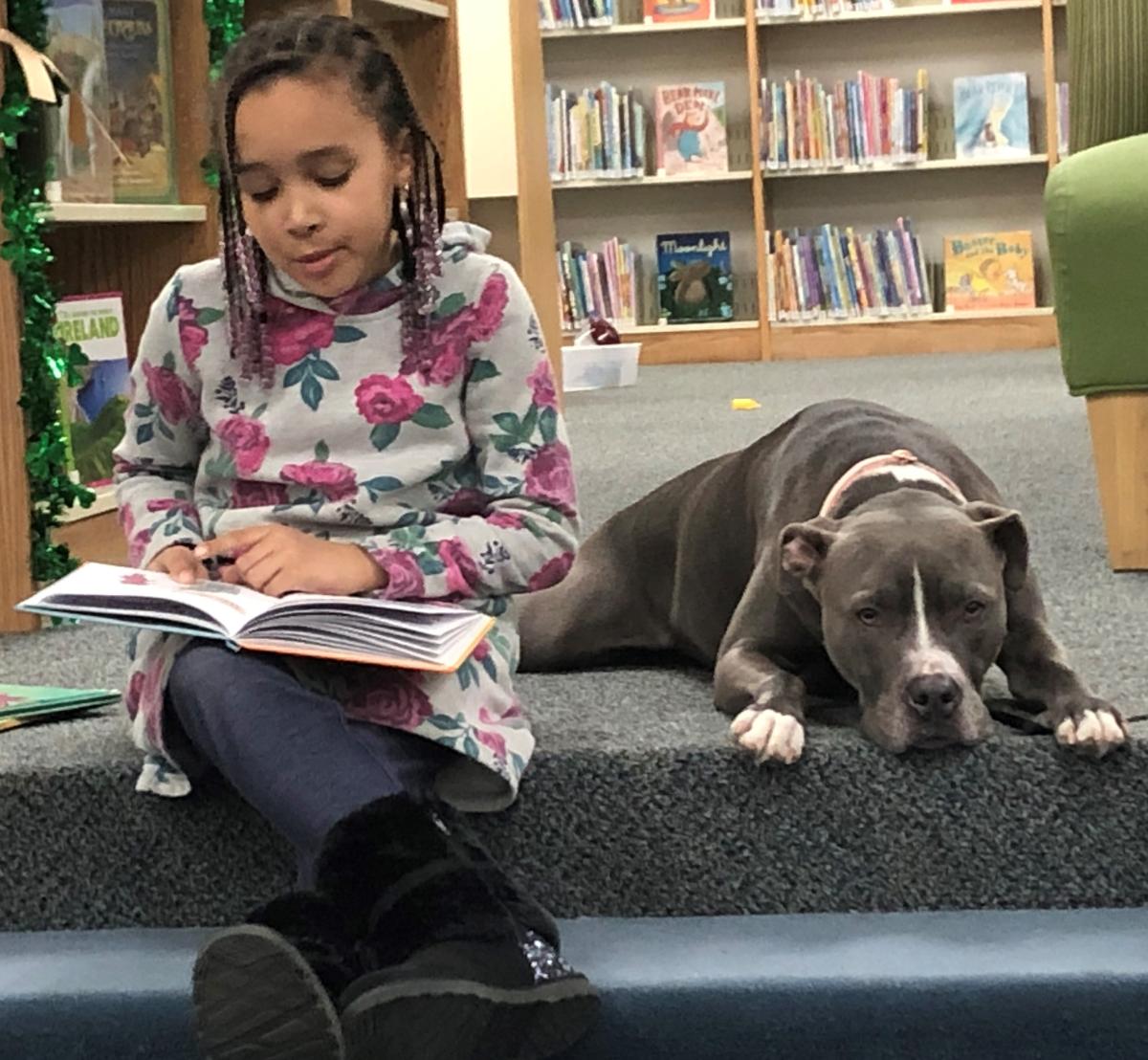 Chloe enjoying a book